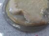 Fungi-Hefe-Biofilm auf Membran