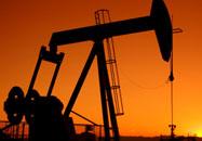 Peak Oil and Gas Limited (Peak)