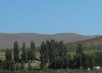 Madalena Energy Inc.-2