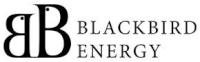 Blackbird Energy logo