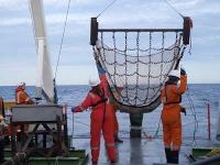 Fugro - 2-metre scientific beam trawl