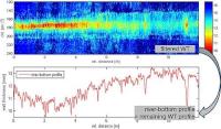 Wall Thickness (WT) inspection data - NDT Global